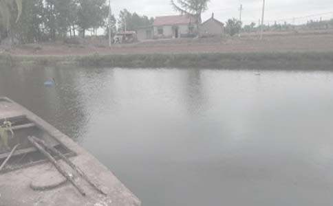 爺爺?shù)聂~塘作文