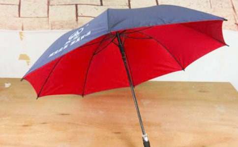 兩把雨傘初中初一作文