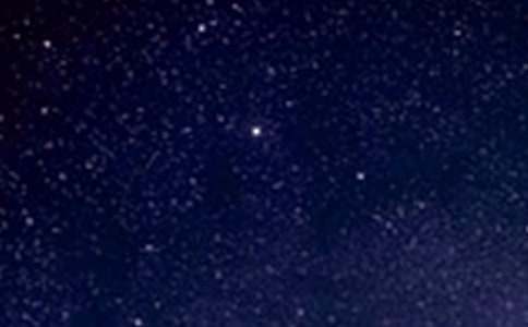 δ���������w������