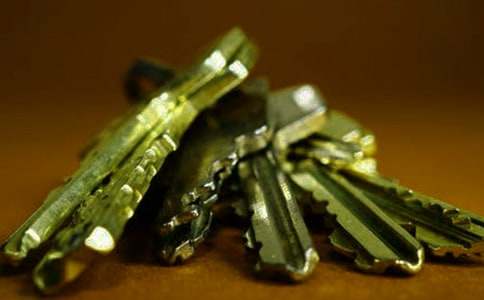 堅(jiān)持不懈是開啟成功之門的鑰匙初二作文