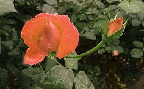 �����¼�������