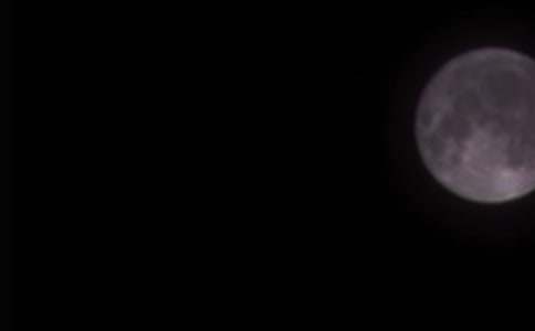 優(yōu)秀作文三篇:難忘的月圓之夜