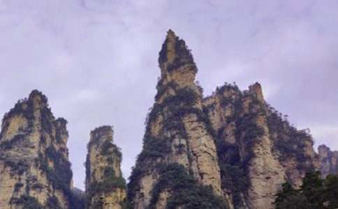 難忘張家界之旅作文