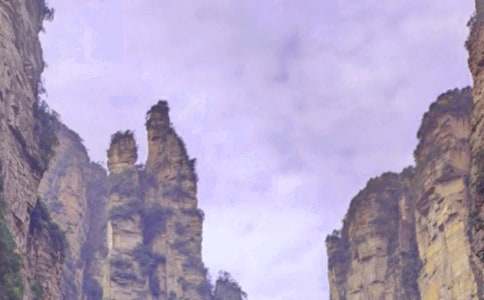 ����Ώ��ҽ����Tɽɭ�ֹ��@���ģ�ͨ��15ƪ��