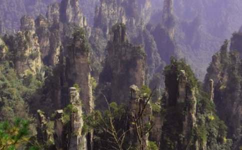 游張家界高中作文1000字