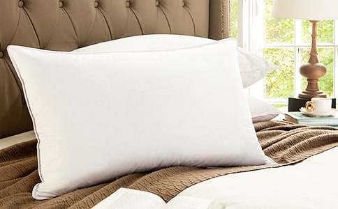 �Ʋ�ʿ�����^_С�W(xu��)����