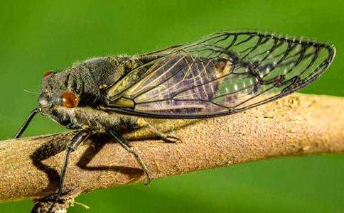 С�W(xu��)���������ģ�֪��