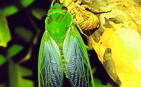 ֪��С�W(xu��)�������]