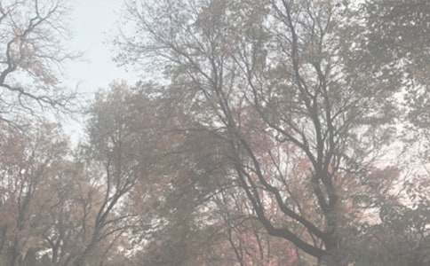 ����ֲ��@-��������600��