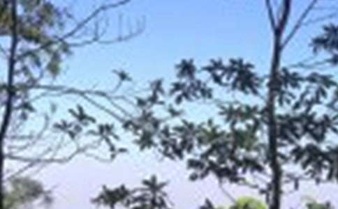 ��������400��5ƪ