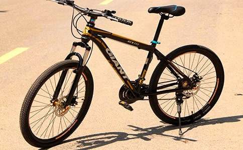 騎公共自行車作文500字