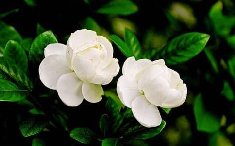 �����_(k��i)����ͨ��15ƪ