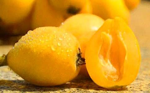 家鄉(xiāng)的枇杷-初中作文