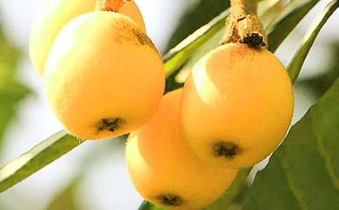 �茑���˘������