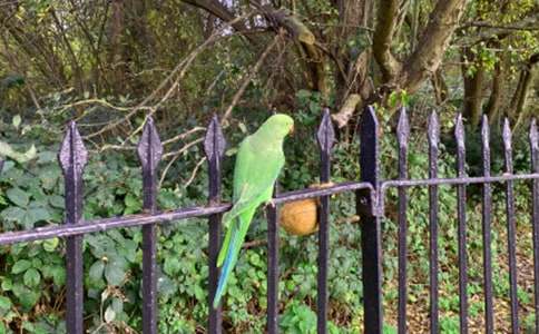 �W�^ͯԒ���ąR����ƪ