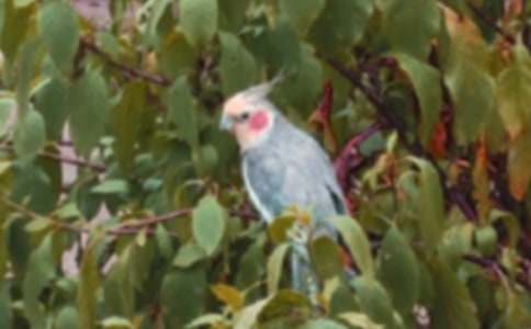 ���x�W�^�~���ĺϼ���ƪ