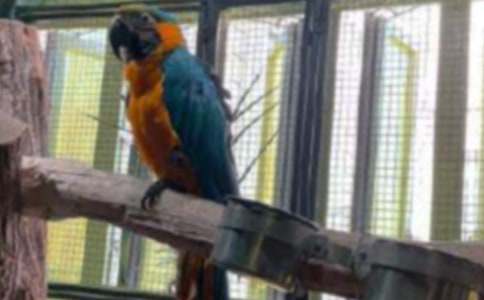 �茑�W�^������600�֣����x8ƪ��