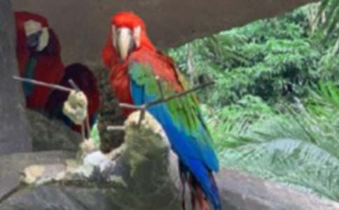 �W�^�~�Đ�