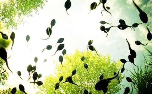 �а�С����ҋ����̰����ģ�ͨ��10ƪ��