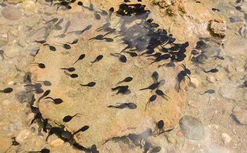 �����]���������600����ƪ