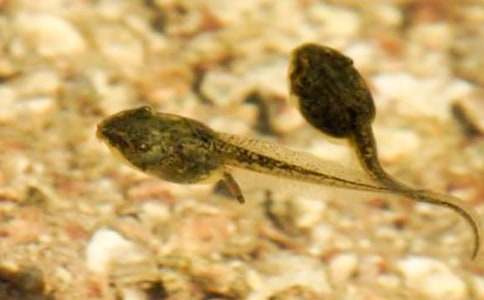 �^��С�������(ͨ��7ƪ)