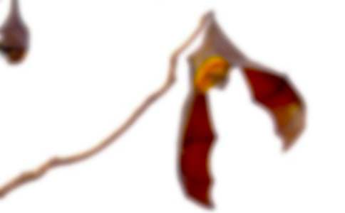 ����@��(ji��ng)��Ԣ�Թ���