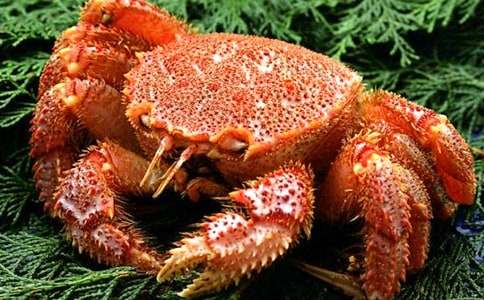 �^���з������15ƪ