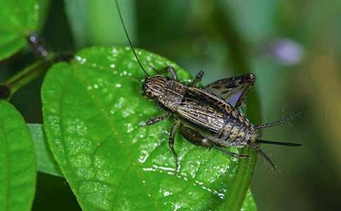 �^���������(5ƪ)