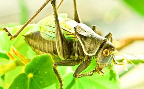 �^���������5ƪ