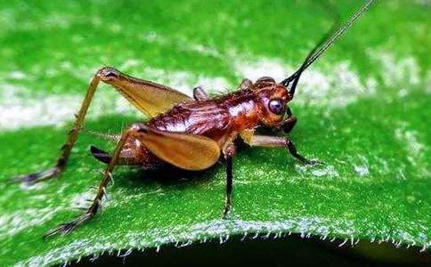 ��300������