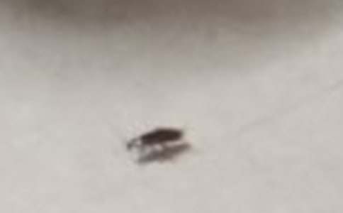 �����������ж�������1000��