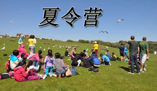 ��������I����