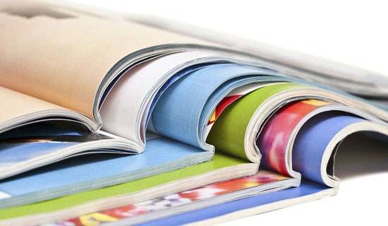 書(shū)籍之橋作文(精選56篇)