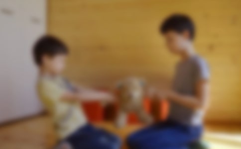 【精華】哥哥作文六篇