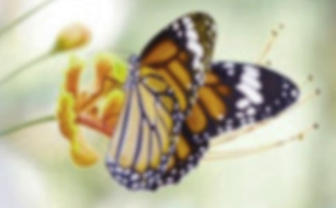 ����Ʒ�����������ĺϼ�8ƪ