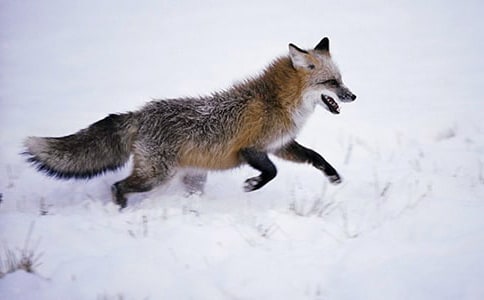 �P(gu��n)��С��؂������300����ƪ