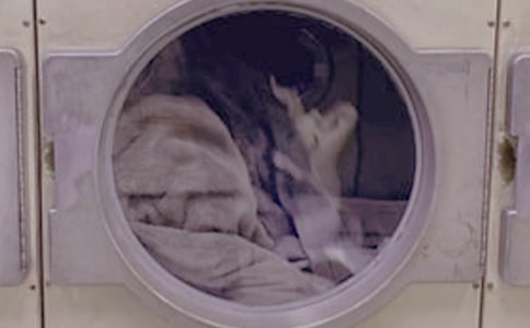 ��һ��ϴ�·���������ƪ